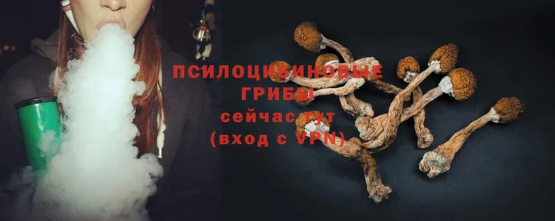 Галлюциногенные грибы Psilocybe  Джанкой 